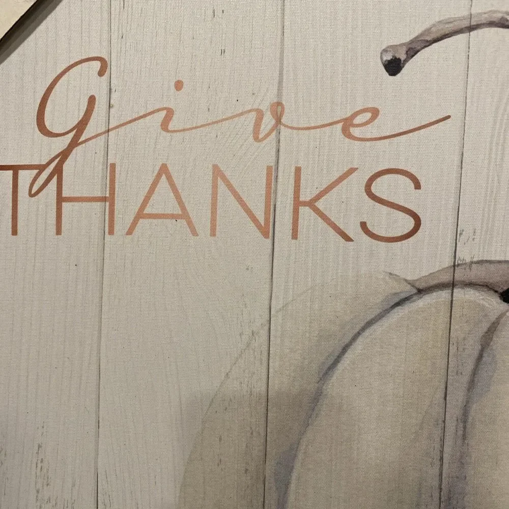 New Farmhouse Give‎ Thanks White Pumpkin PICTURE Wall Hanging